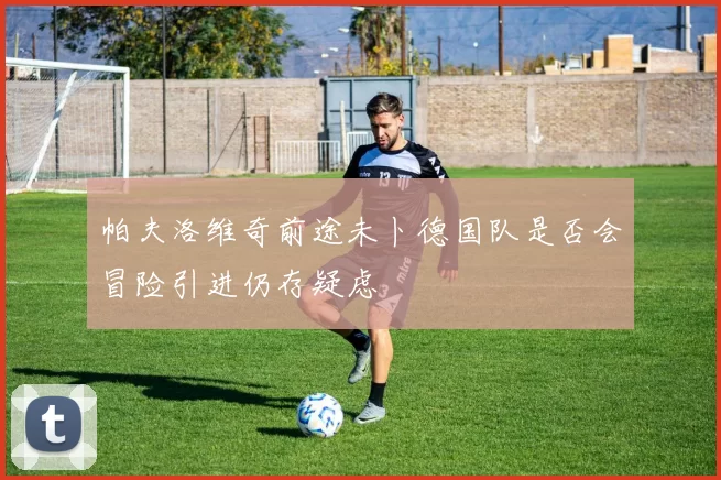 帕夫洛维奇前途未卜德国队是否会冒险引进仍存疑虑